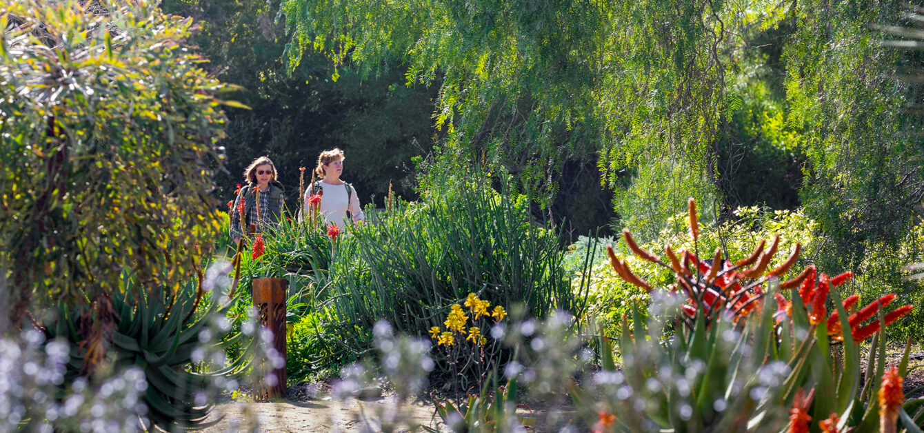 Happy Spring! 5 Don't-Miss Botanical Gardens - Golden State